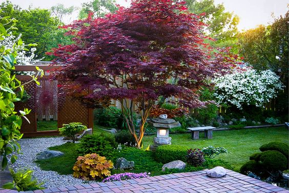 I consigli del Garden Designer (6): Principi di composizione del giardino
